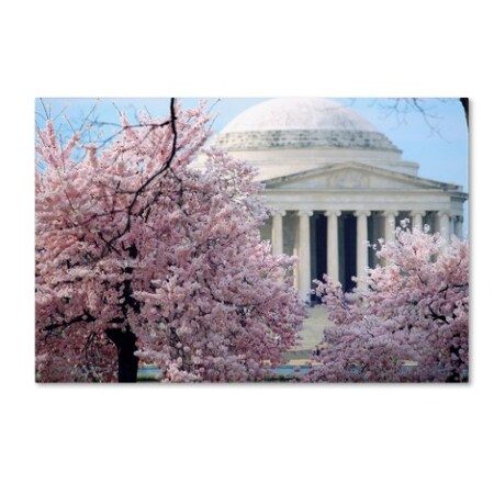 Trademark Fine Art CATeyes 'Cherry Blossoms 2014-7' Canvas Art, 22x32 MZ0301-C2232GG